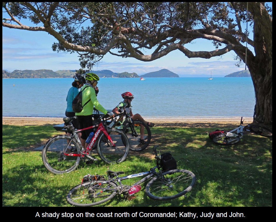 coro201508.jpg (286588 bytes)